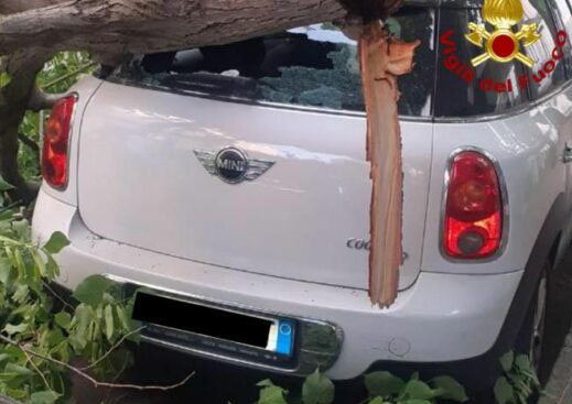 Tragedia sfiorata a lecce grosso ramo su auto