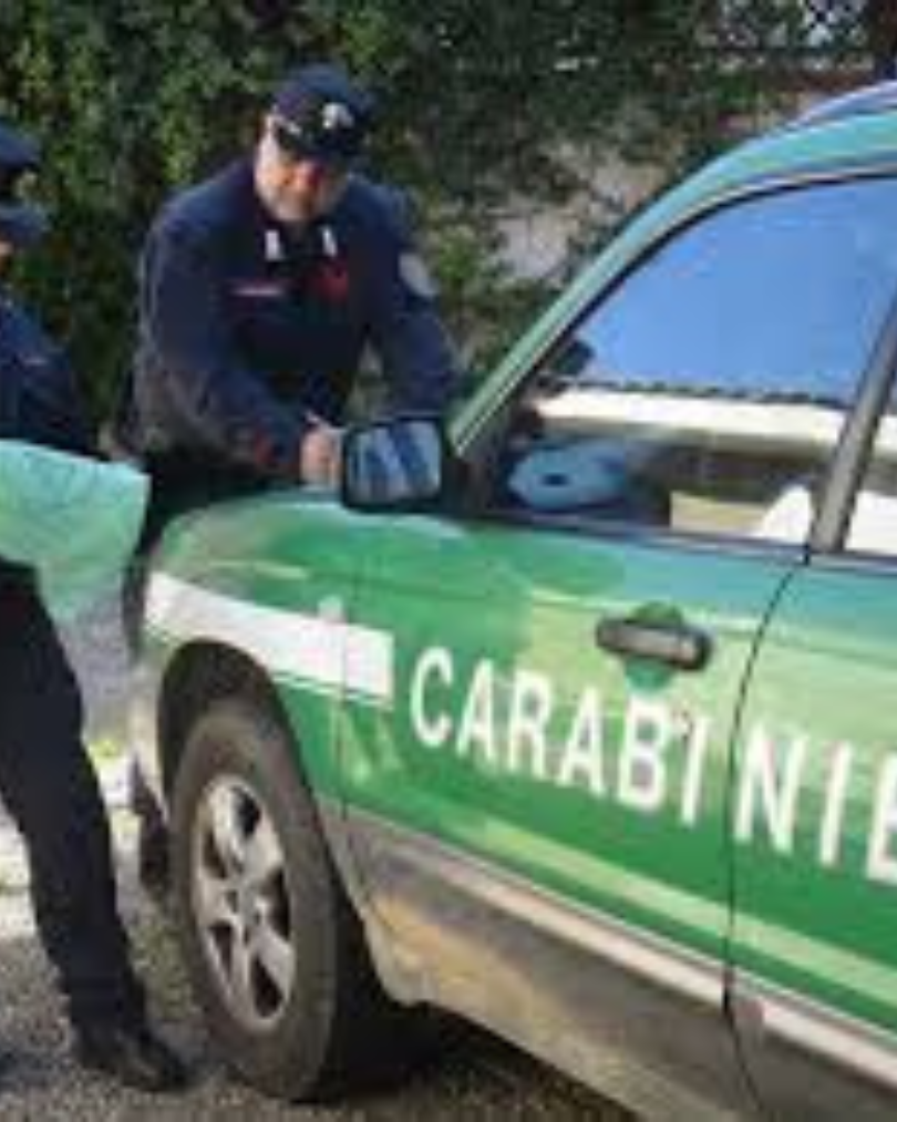 Il maxi sequestro di vino in provincia di Lecce